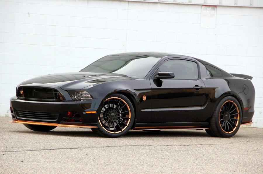  Ford Mustang Bad Penny by CDC 2014 года  (фото 6 из 9)